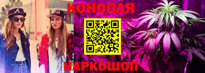 прущие крисы Будённовск